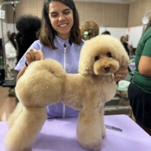 Clase de Técnica o Perfeccionamiento